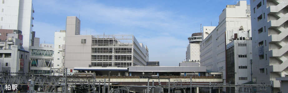 柏駅とビルの写真。南柏方面陸橋から撮影。